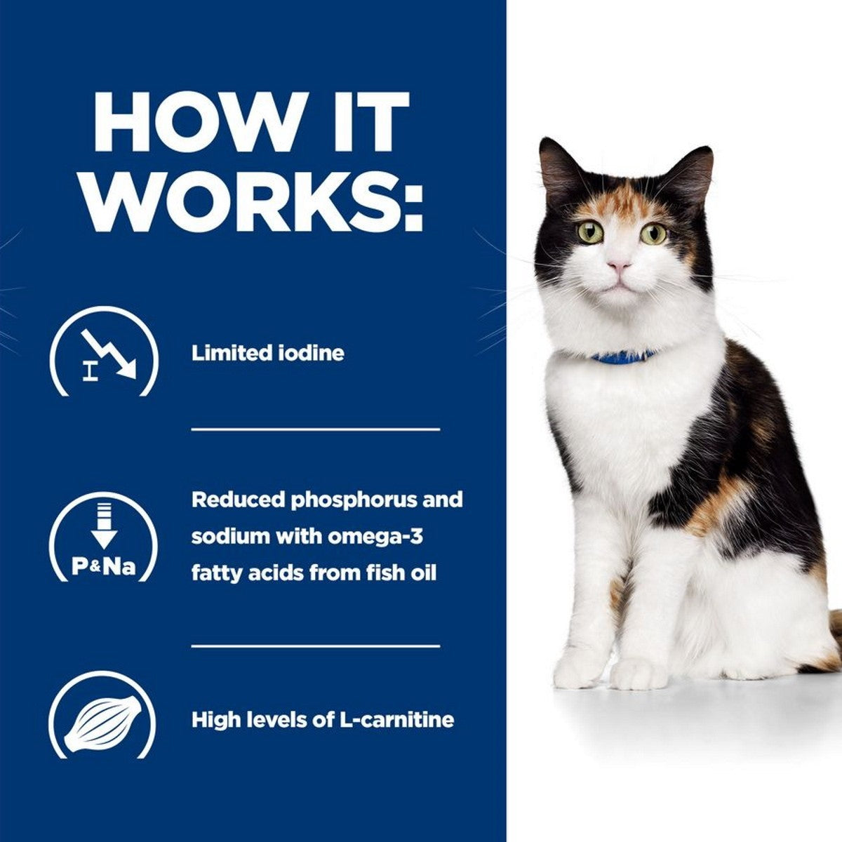 Y/D dry food cats