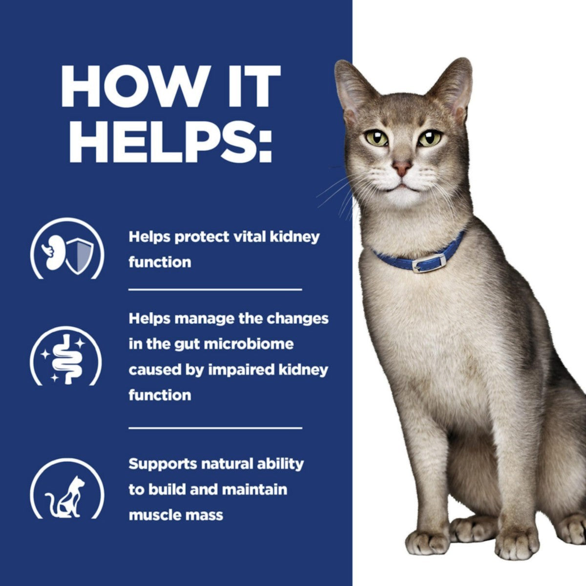Cat food for kidneys