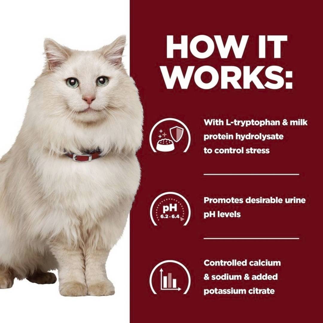 Prescription Cat Food Stew