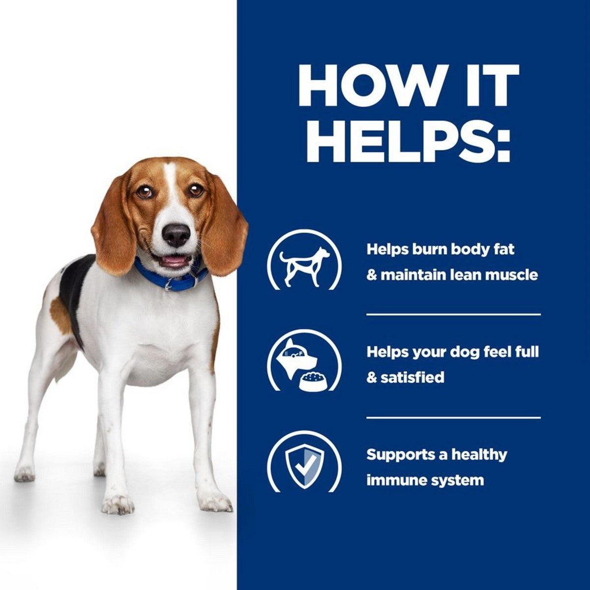 R/D chicken dog kibble