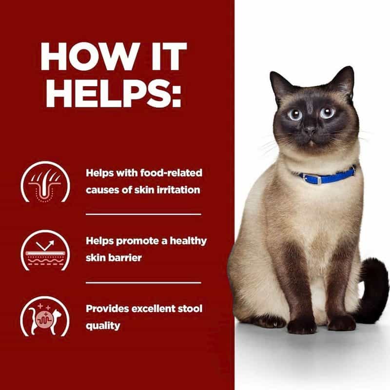 Cat wearing a blue collar with text on a red and white background