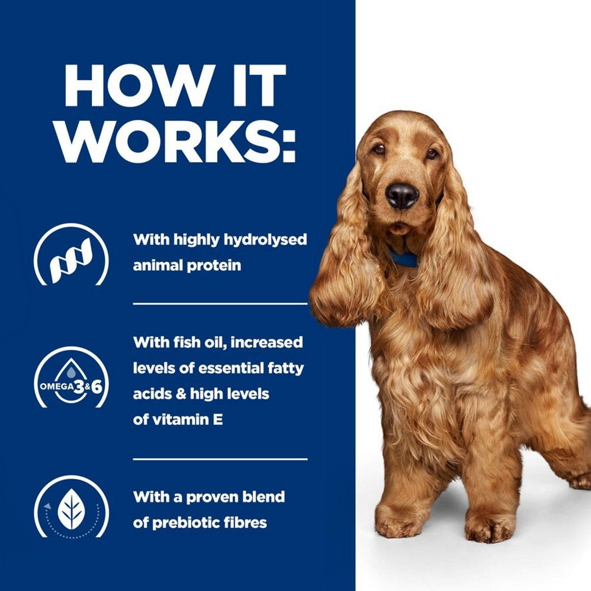 Z/D dry dog food