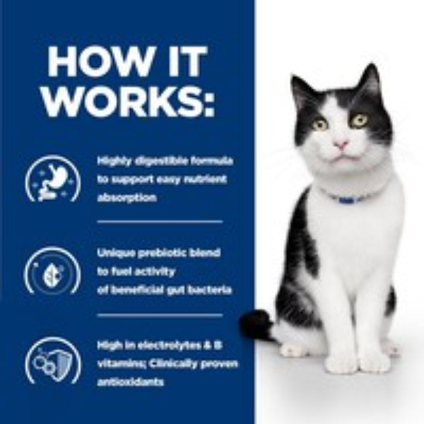 Sensitive stomach cat diet
