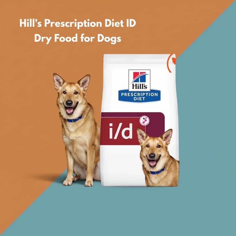 Hill's Prescription Diet ID dry food for dogs with a dog sitting next to it on a two-tone background.