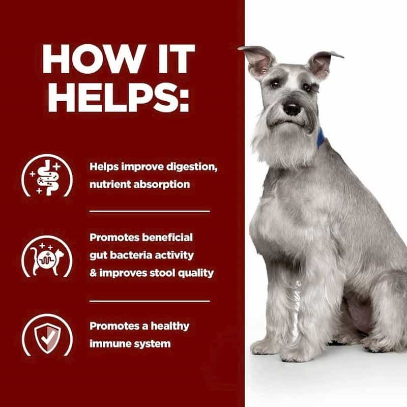 Dog sitting next to a red background with text about digestive health benefits.