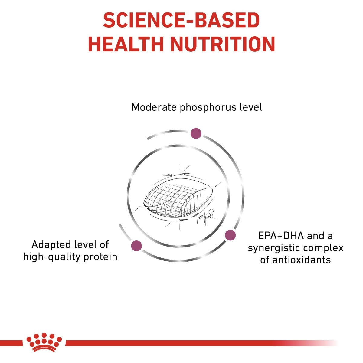 Diagram of science-based health nutrition with text and a crown logo at the bottom.