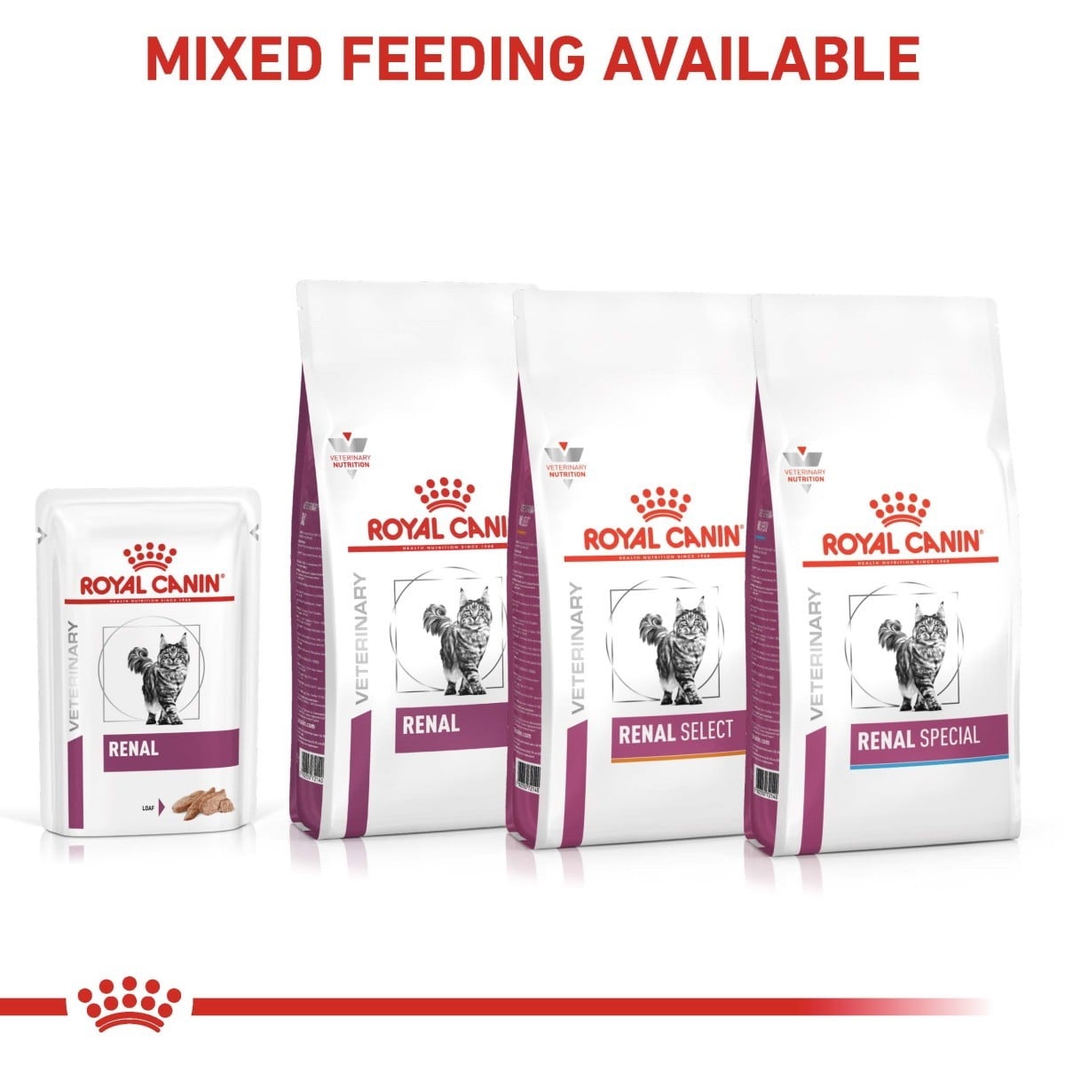Royal Canin Renal cat food packages on a white background with 'Mixed Feeding Available' text.