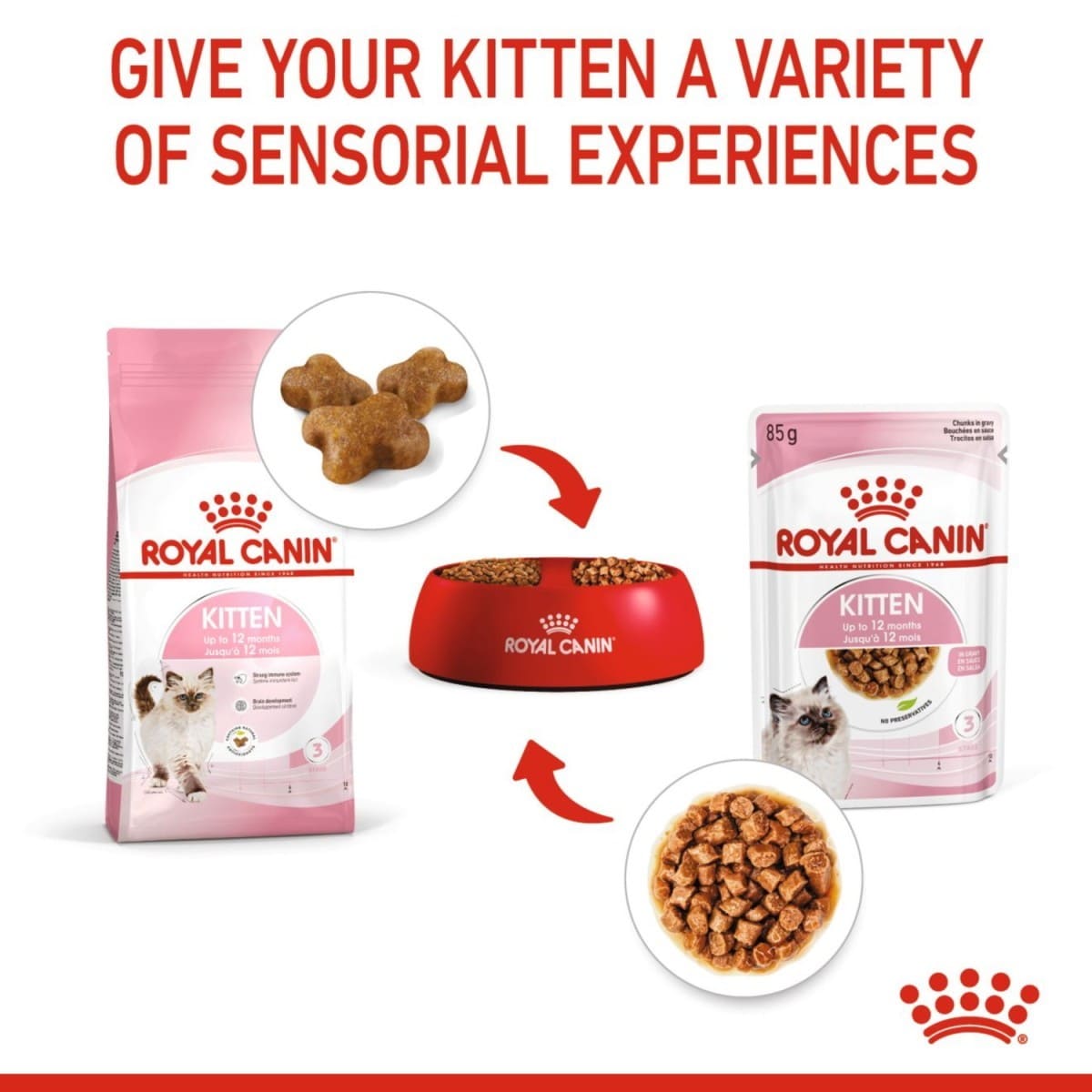 Royal Canin kitten food packaging with text on a white background