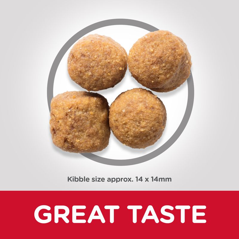 Adult large dog kibble