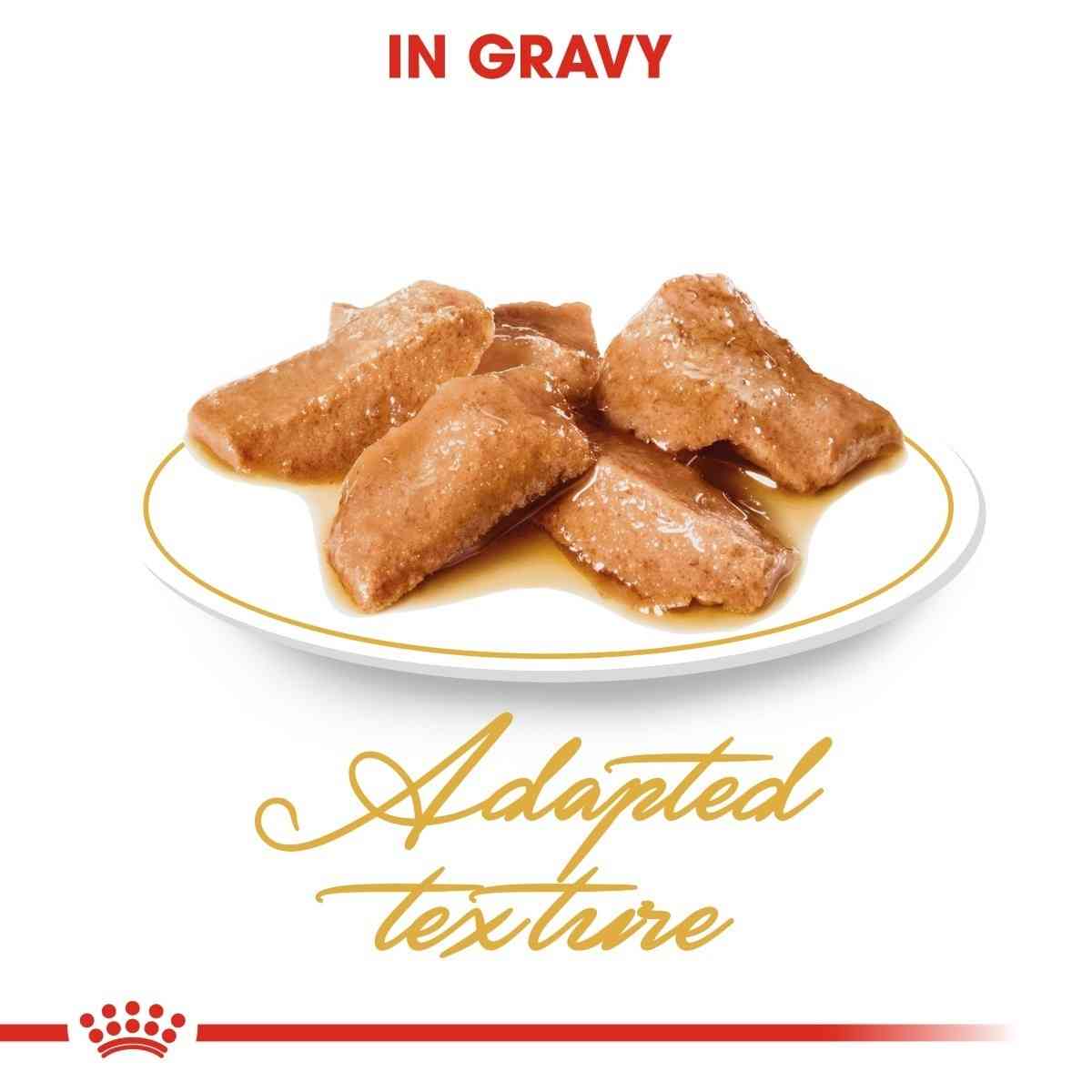 Meat products on a plate with gravy, labeled 'Adapted texture' on a white background.