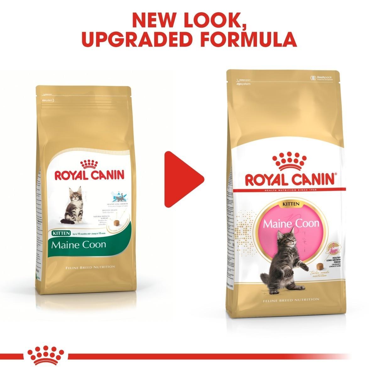 Two packages of Royal Canin Maine Coon cat food with a red play button graphic.