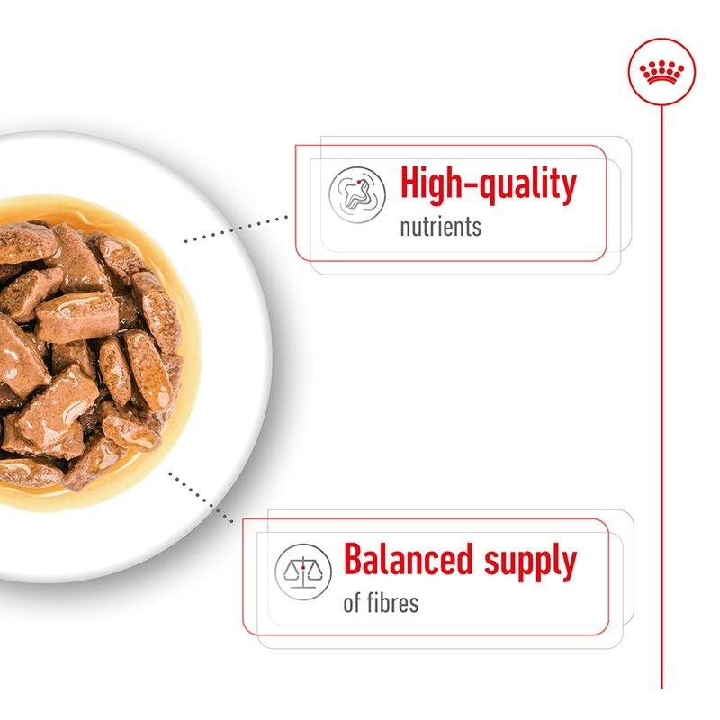 Bowl of dog food with text highlighting high-quality nutrients and balanced fiber supply on a white background.