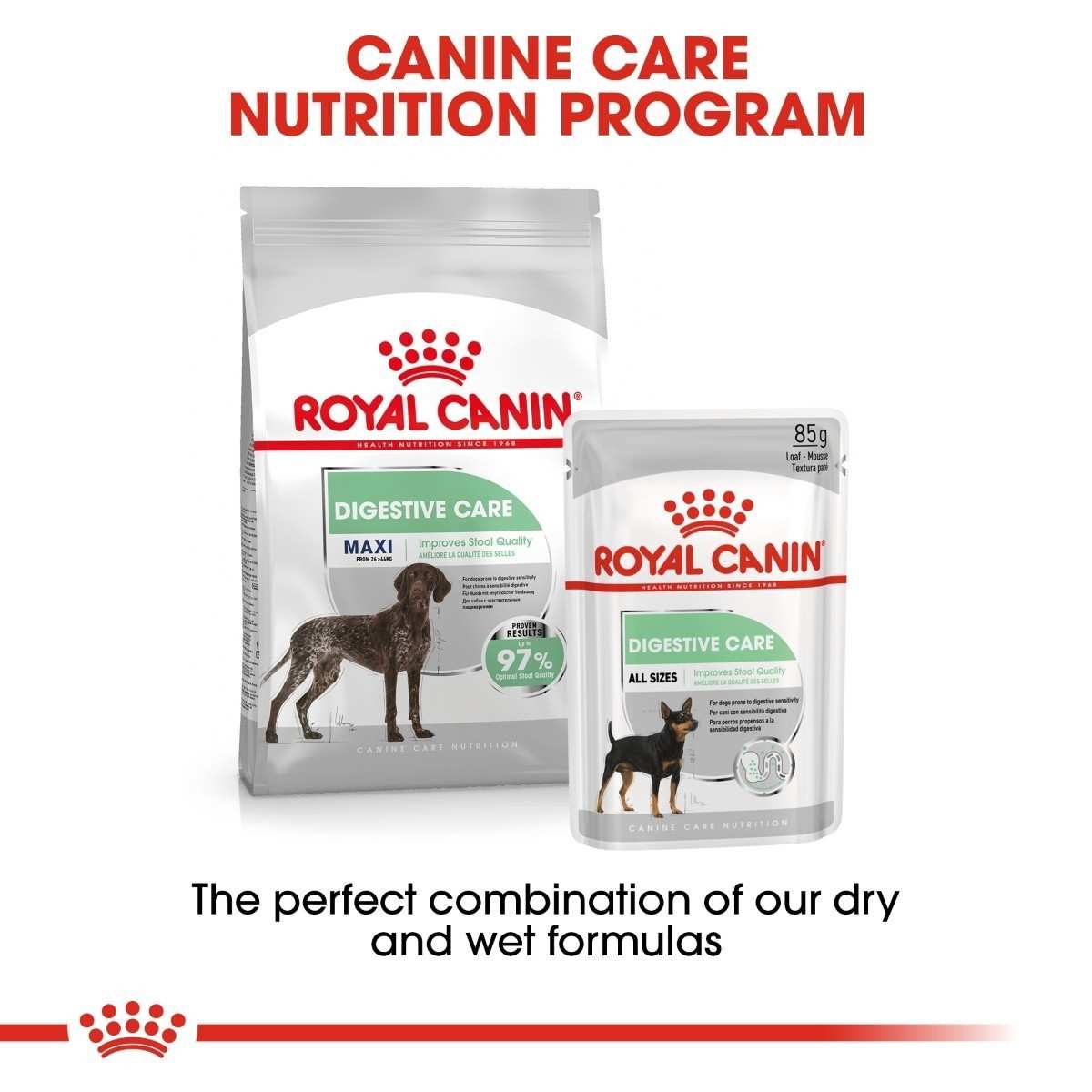Royal Canin dog food packages for digestive care on a white background