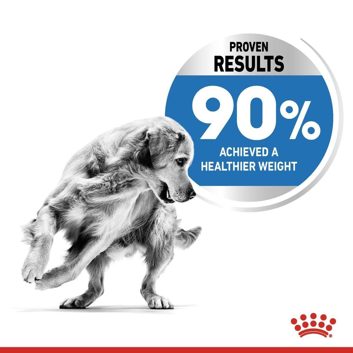 Dog with a healthier weight, showing a 'Proven Results' badge indicating 90% achieved a healthier weight, with a brand logo at the bottom.