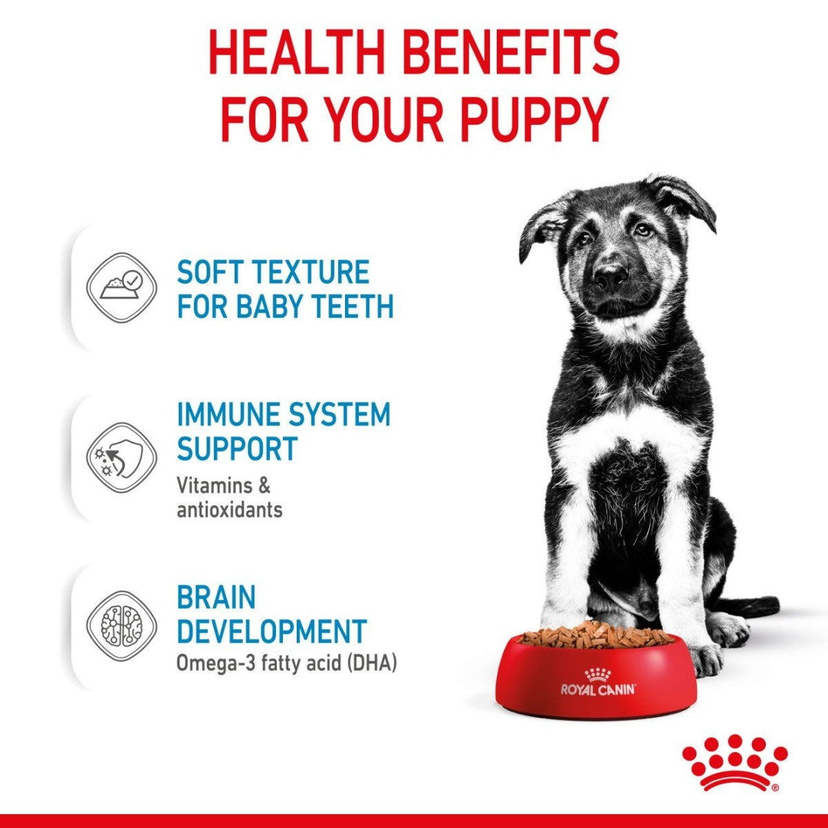 Advertisement for Royal Canin puppy food with a black and white puppy and health benefits listed.