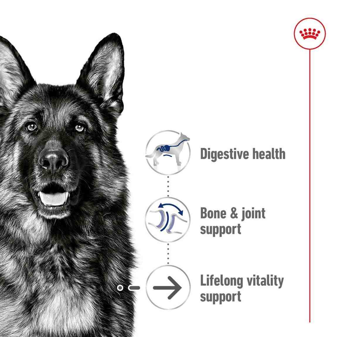 Black and white illustration of a German Shepherd with health benefits text on a white background