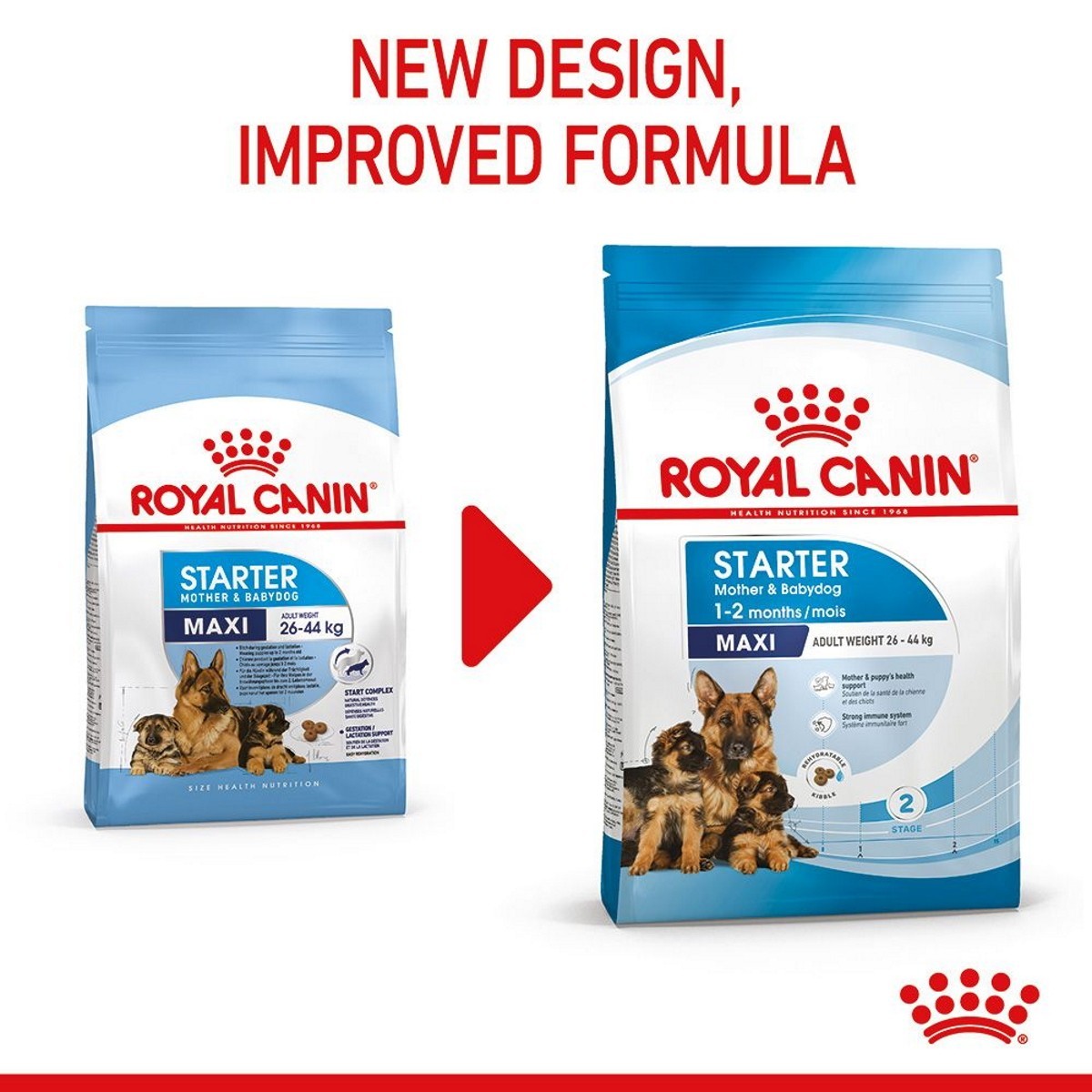 Two packages of Royal Canin Starter Maxi dog food with a red arrow and text indicating new design and improved formula.