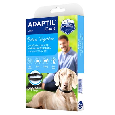 Long-lasting dog calm collar