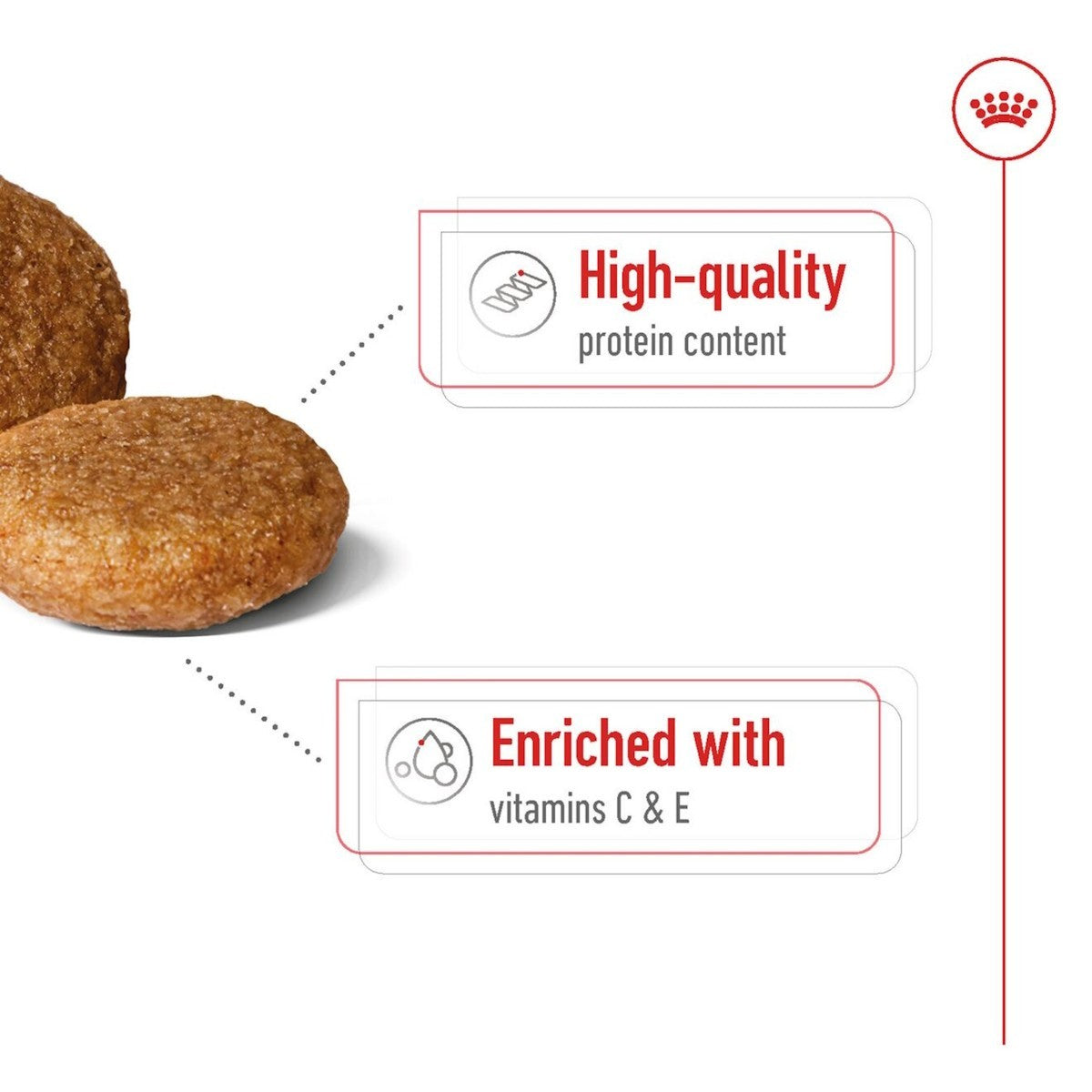 Dog food product with text highlighting high-quality protein content and vitamin enrichment on a white background.