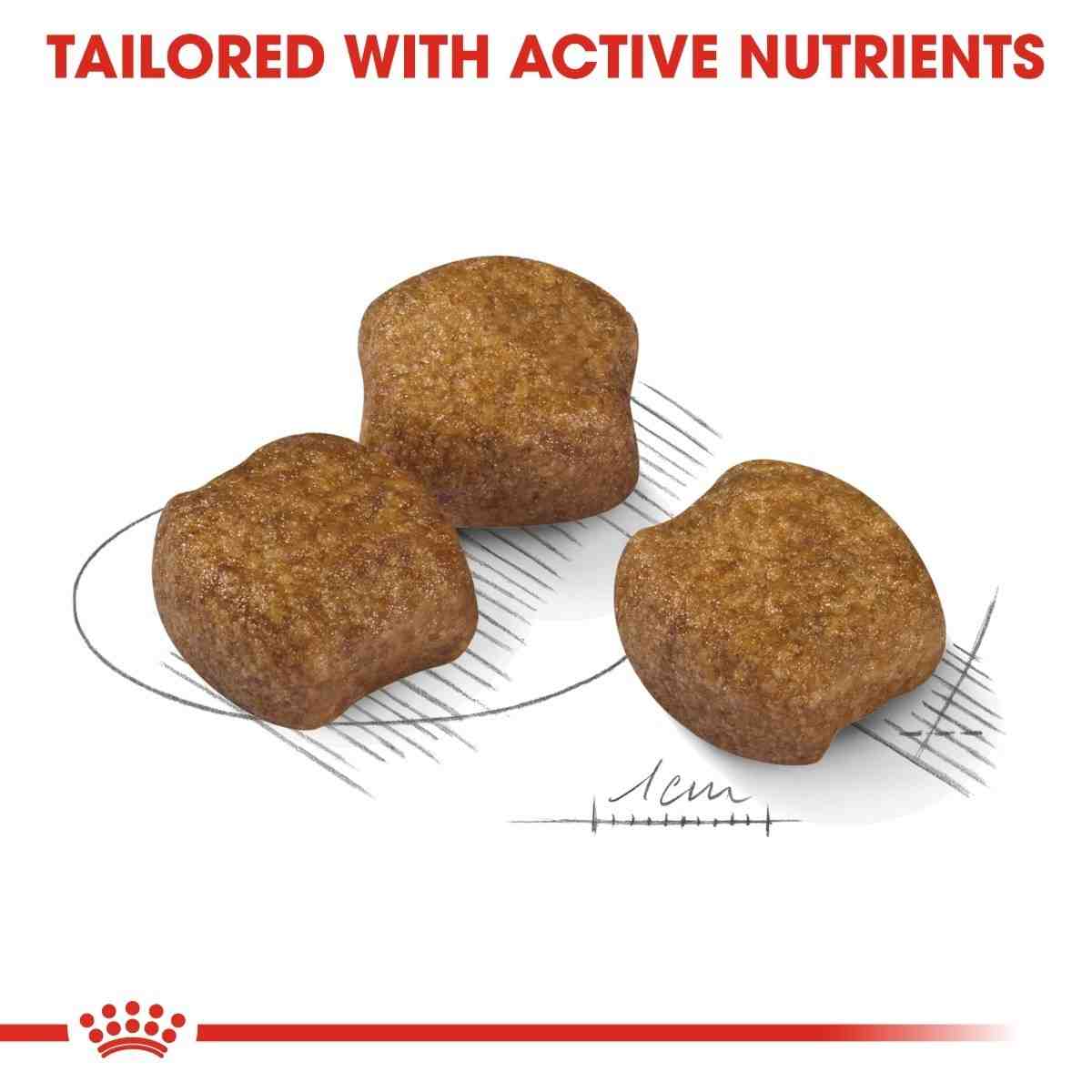 Three brown pet treats on a white plate with 'Tailored with Active Nutrients' text and a brand logo at the bottom.