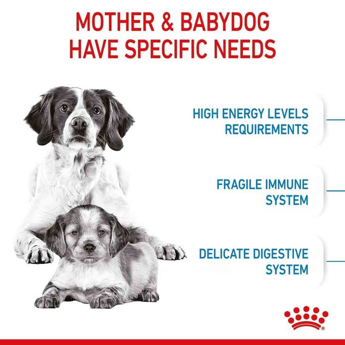 Advertisement for dog food showing a mother and baby dog with text about their needs.