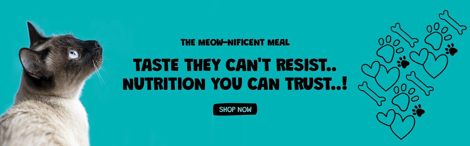 Cat Food | Buggaz | UK