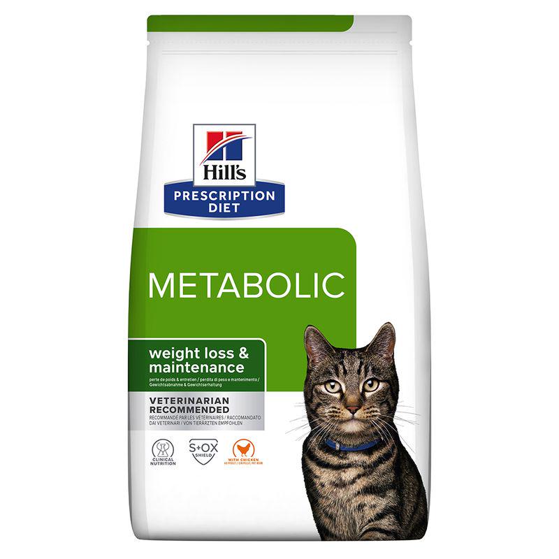 Chicken diet for cats
