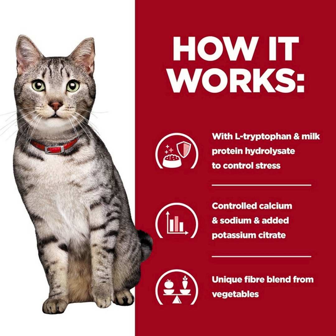 Cat with a red collar on a white background, next to text about a product's benefits on a red background.