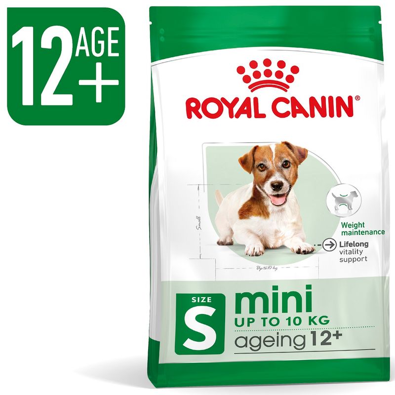 Royal Canin mini ageing 12+ dog food package on a white background