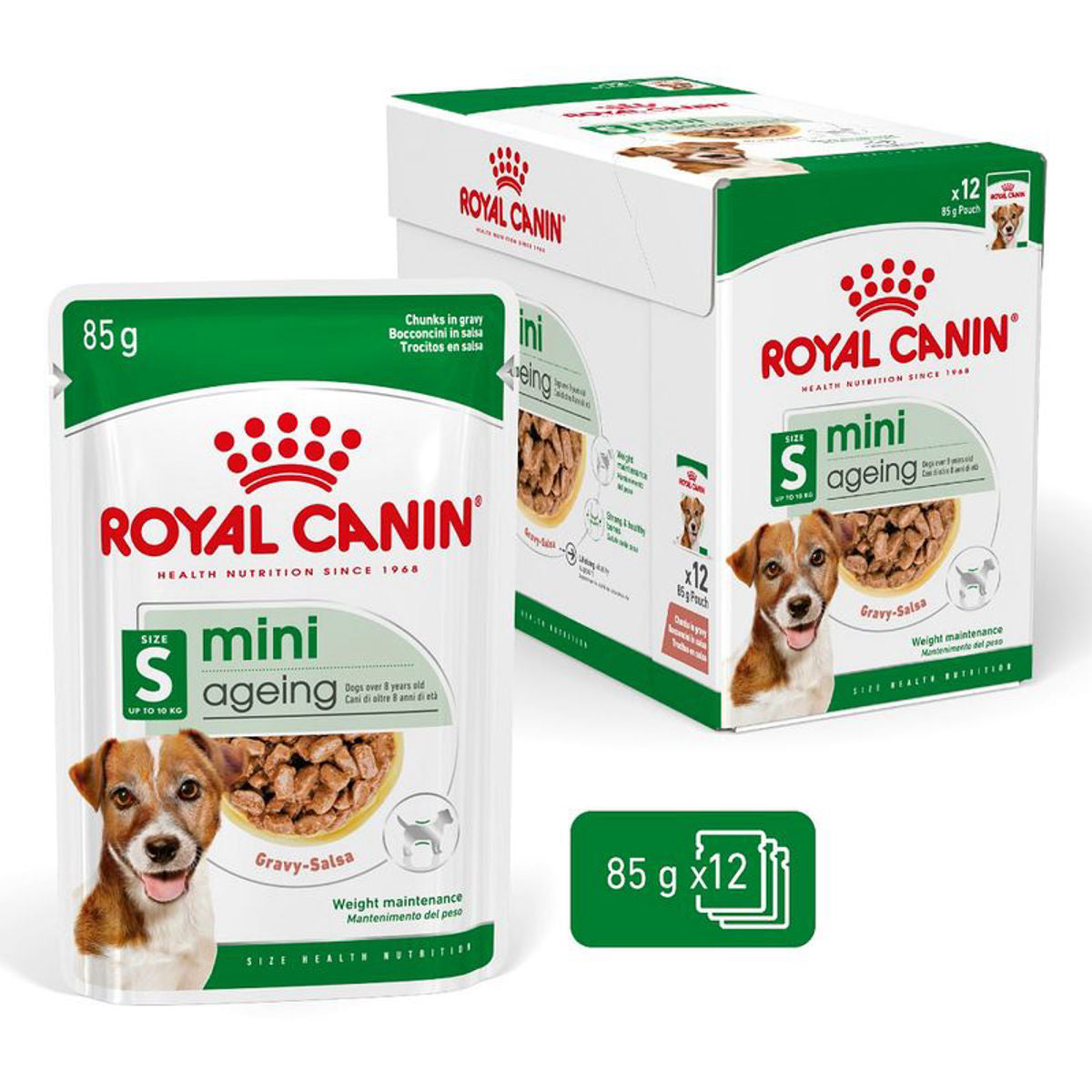 Royal Canin mini ageing dog food packaging on a white background