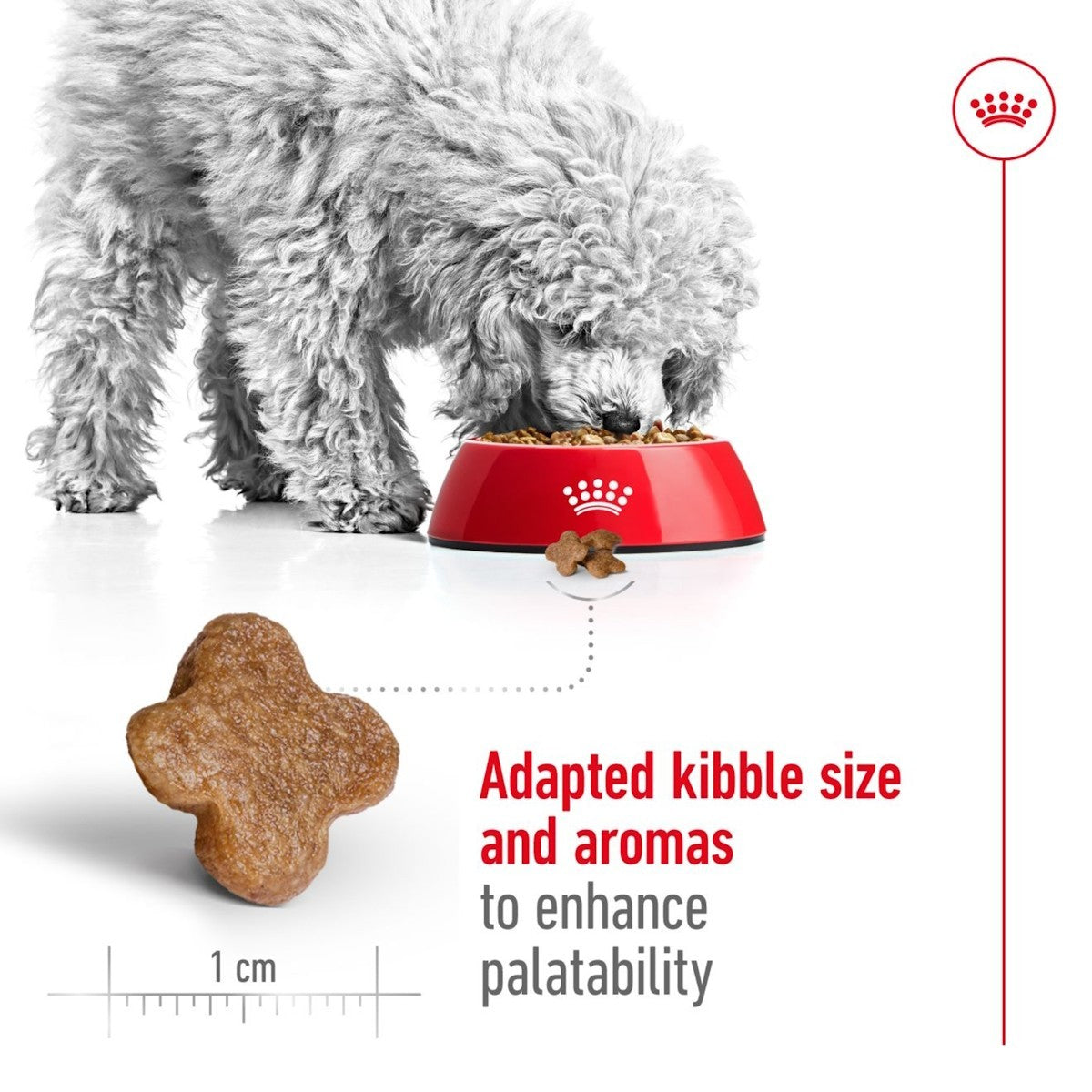 Dog eating from a red bowl with text about adapted kibble size and aromas, and a scale showing 1 cm.