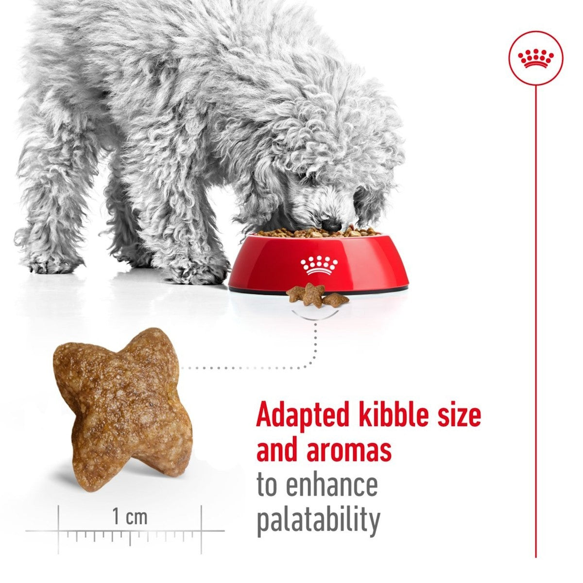 Dog eating from a red bowl with kibble, scale, and text on a white background