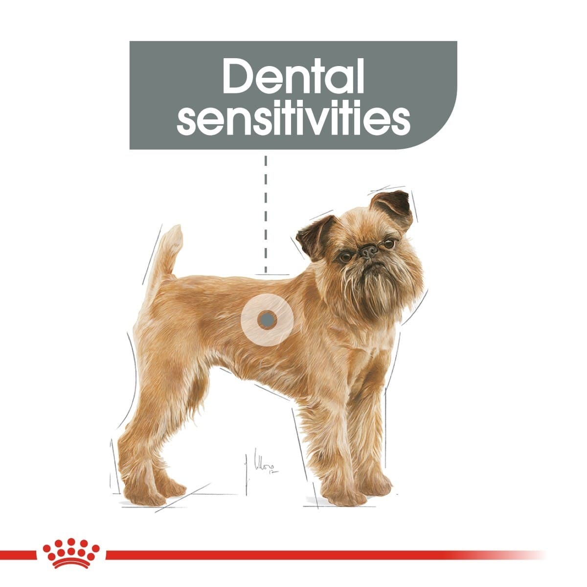 Dog with dental sensitivity indicated on a white background, featuring a brand logo at the bottom.