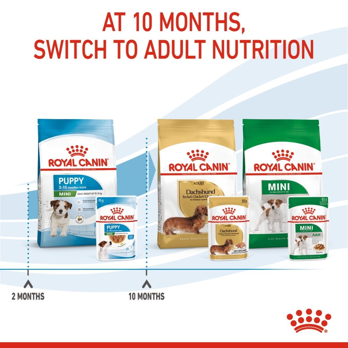 Royal Canin dog food packages with text indicating switching to adult nutrition at 10 months.