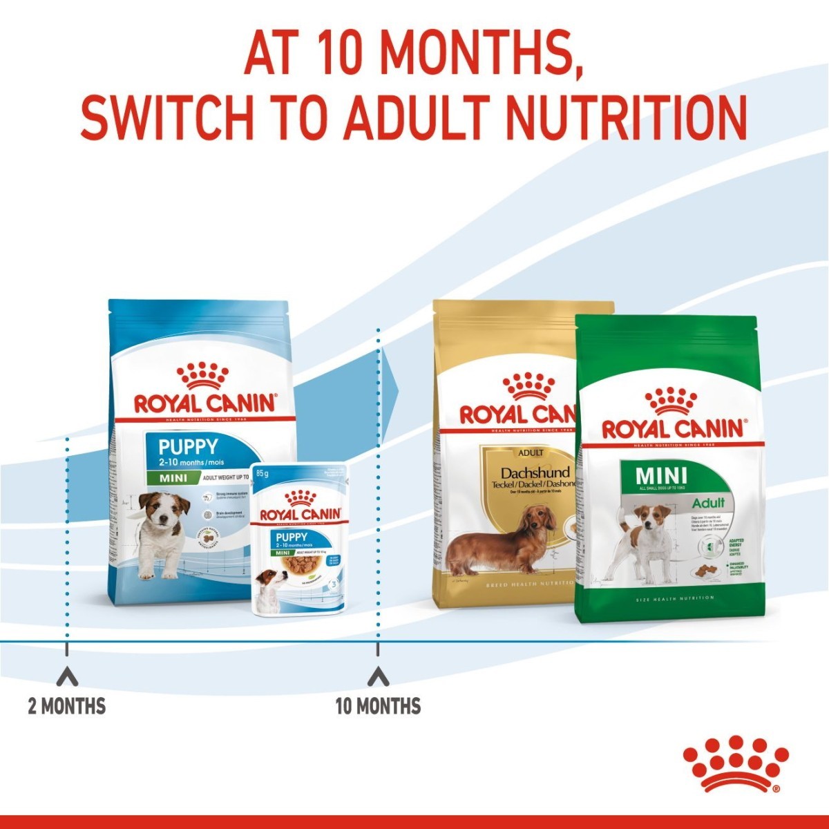 Royal Canin dog food packages with text indicating switching to adult nutrition at 10 months.