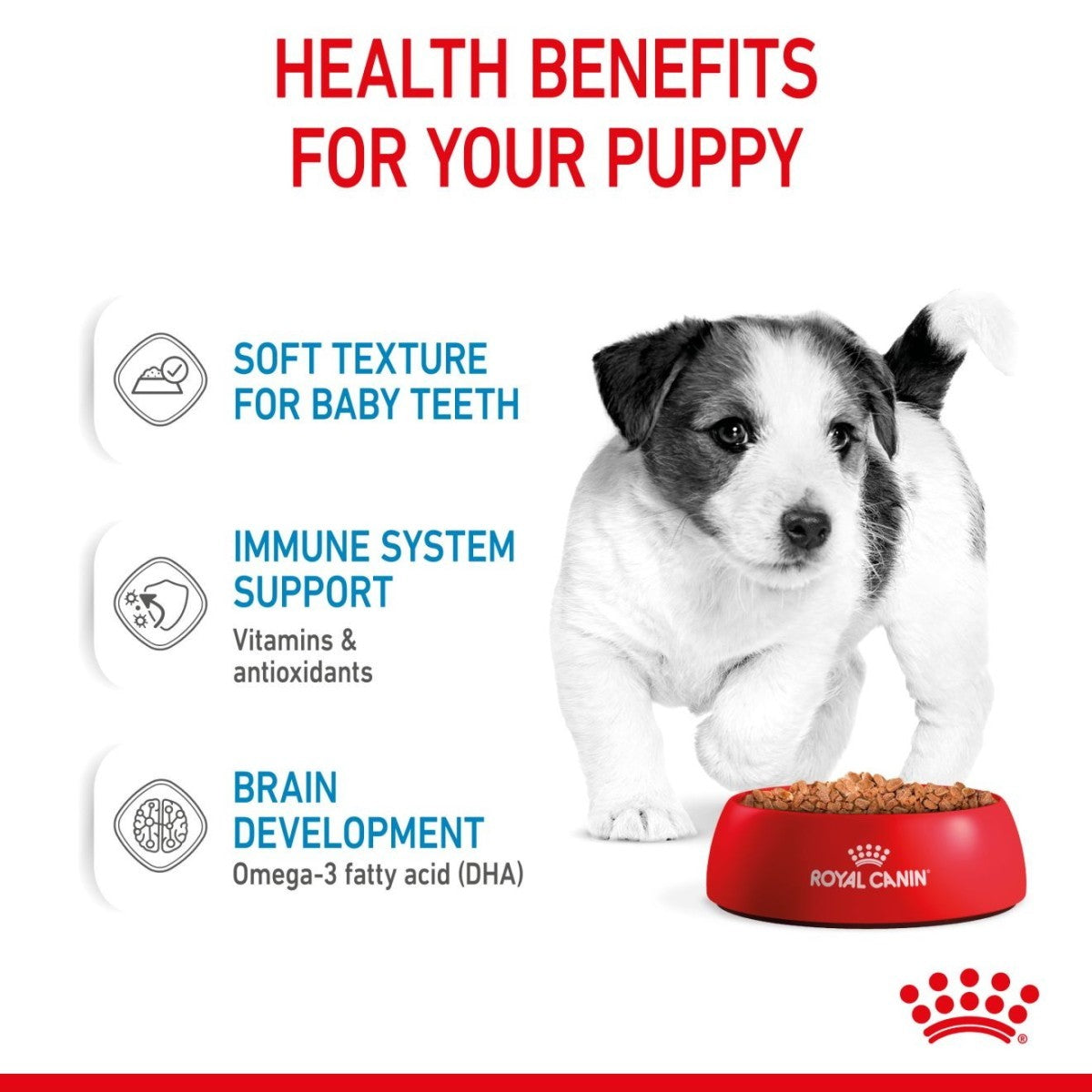 Advertisement for Royal Canin puppy food with a puppy and text about health benefits on a white background.
