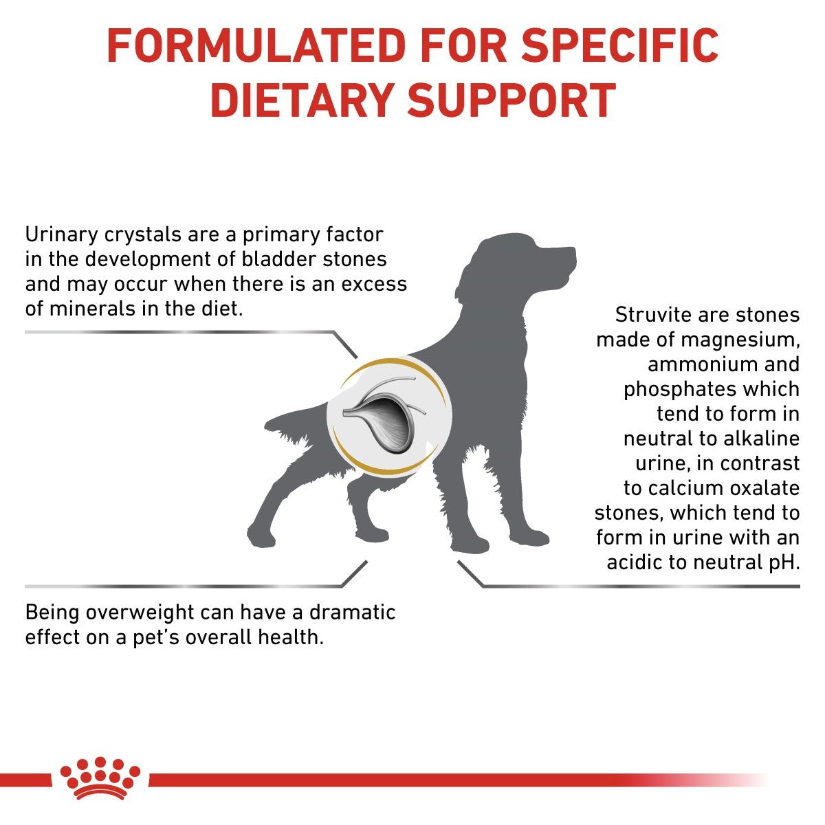 Dog health information graphic about urinary crystals and dietary support.