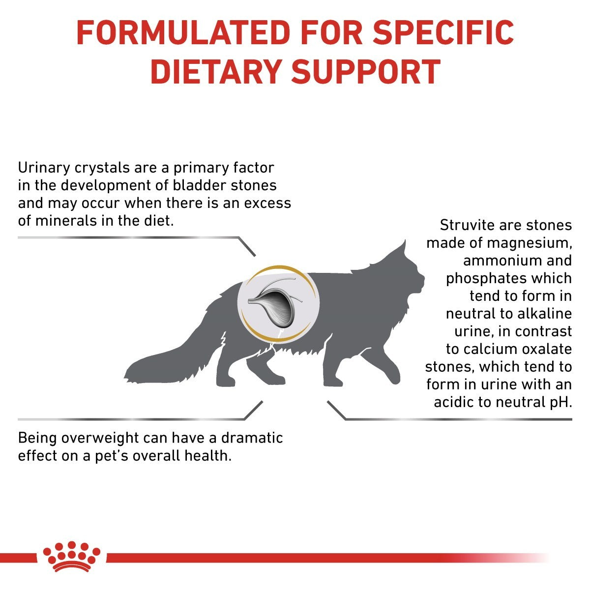 Cat dietary support information with text and a cat silhouette on a white background