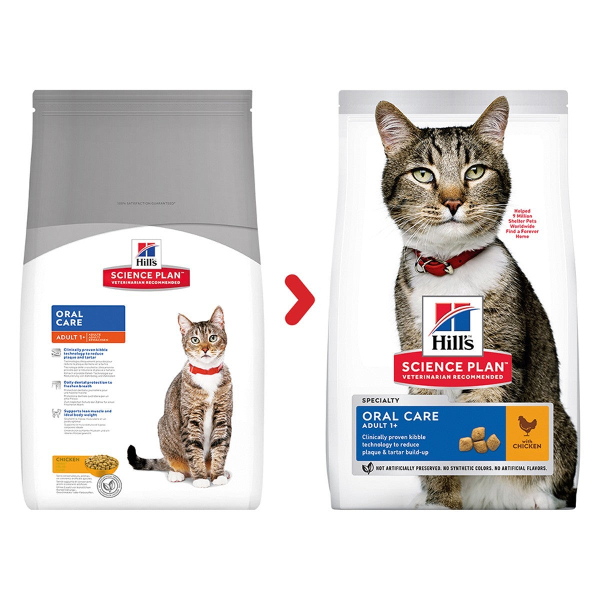 Adult cat dental kibble