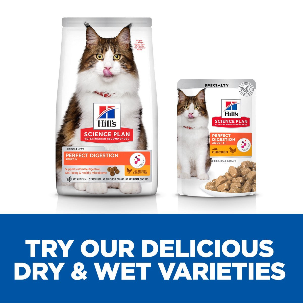 Digestive health adult cat