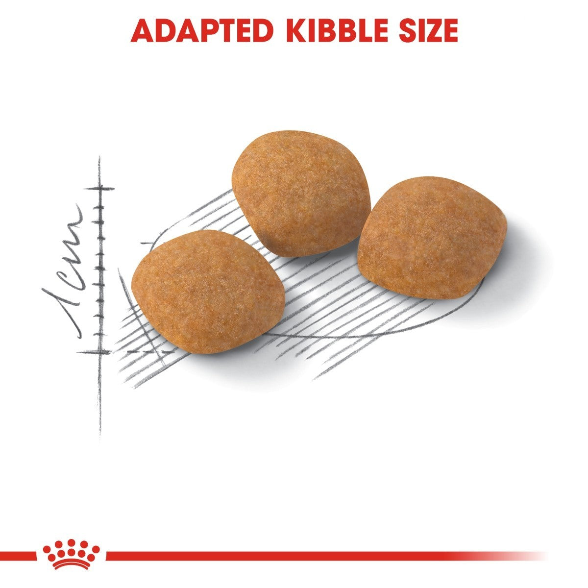 Three dog kibble pieces on a white background with a ruler indicating size, and a red brand logo at the bottom.