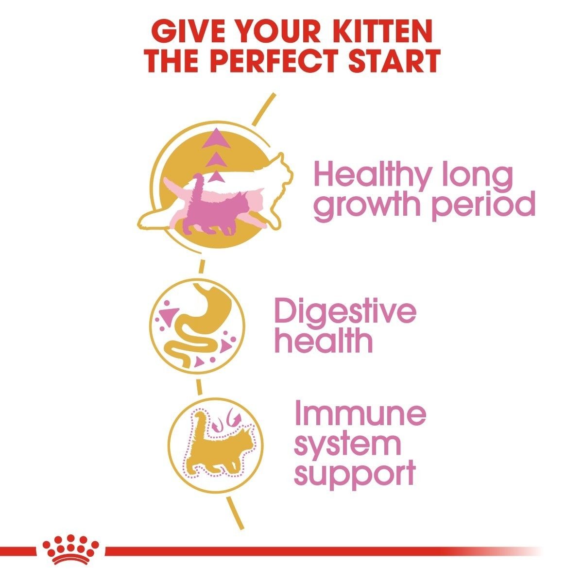 Advertisement for kitten food with icons and text on a white background