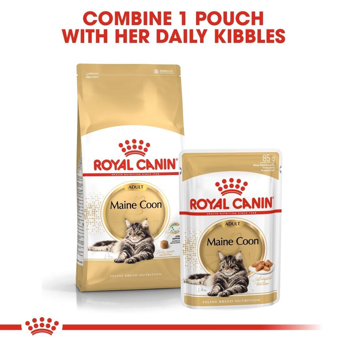 Two Royal Canin Maine Coon cat food packages on a white background with text.