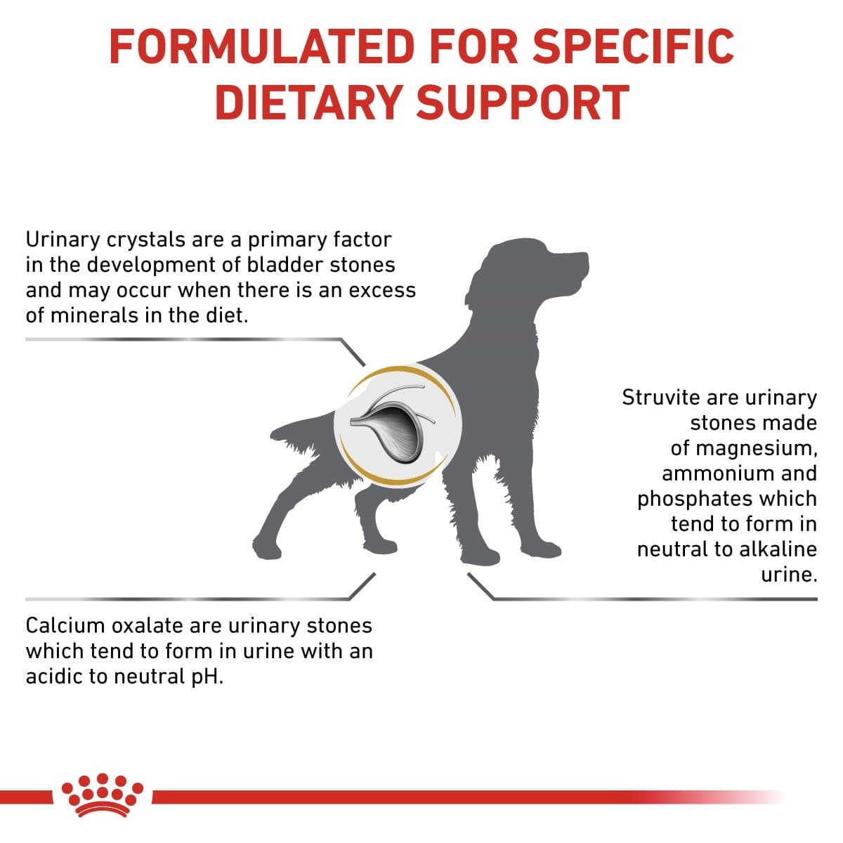 Dog dietary support information with text and a silhouette of a dog.