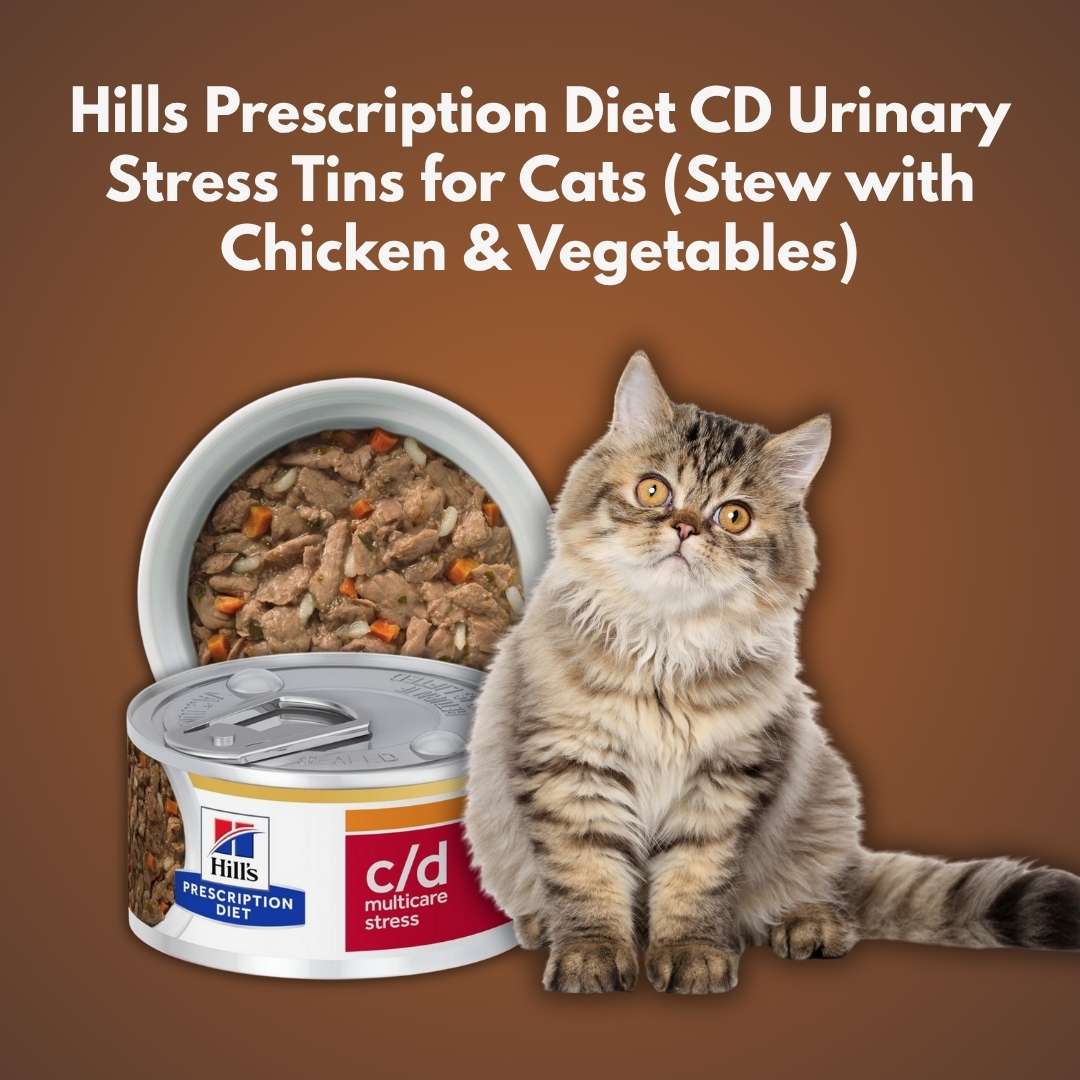 Cat sitting next to Hills Prescription Diet CD Urinary Stress Tins on a brown background