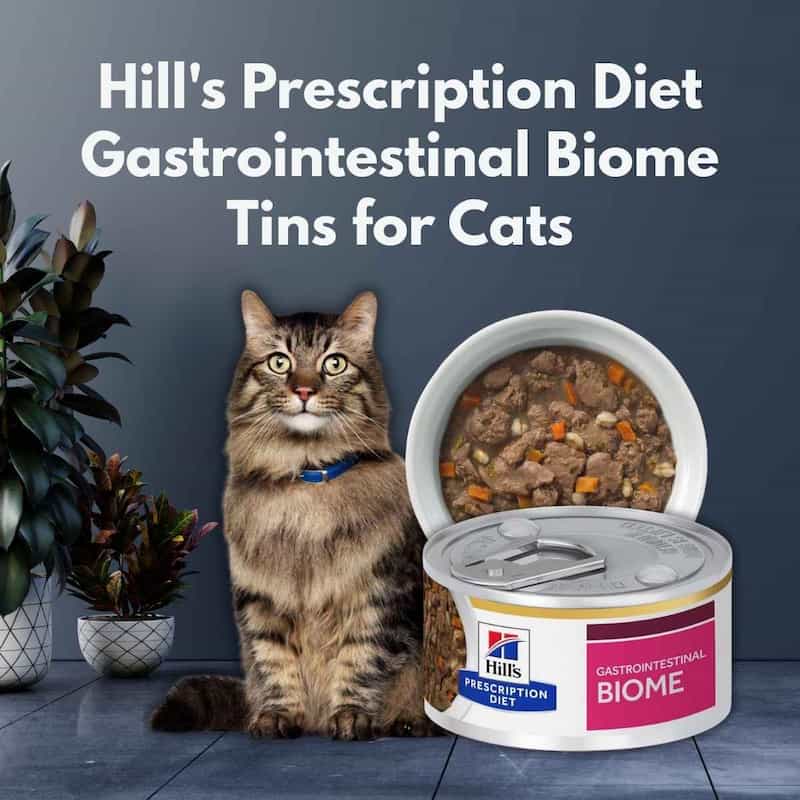 Hill's Prescription Diet Gastrointestinal Biome Tins for Cats