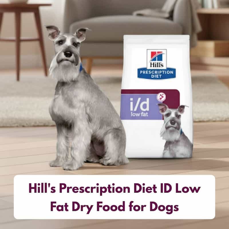 Dog sitting next to a bag of Hill's Prescription Diet i/d low fat dry food for dogs in a home setting.