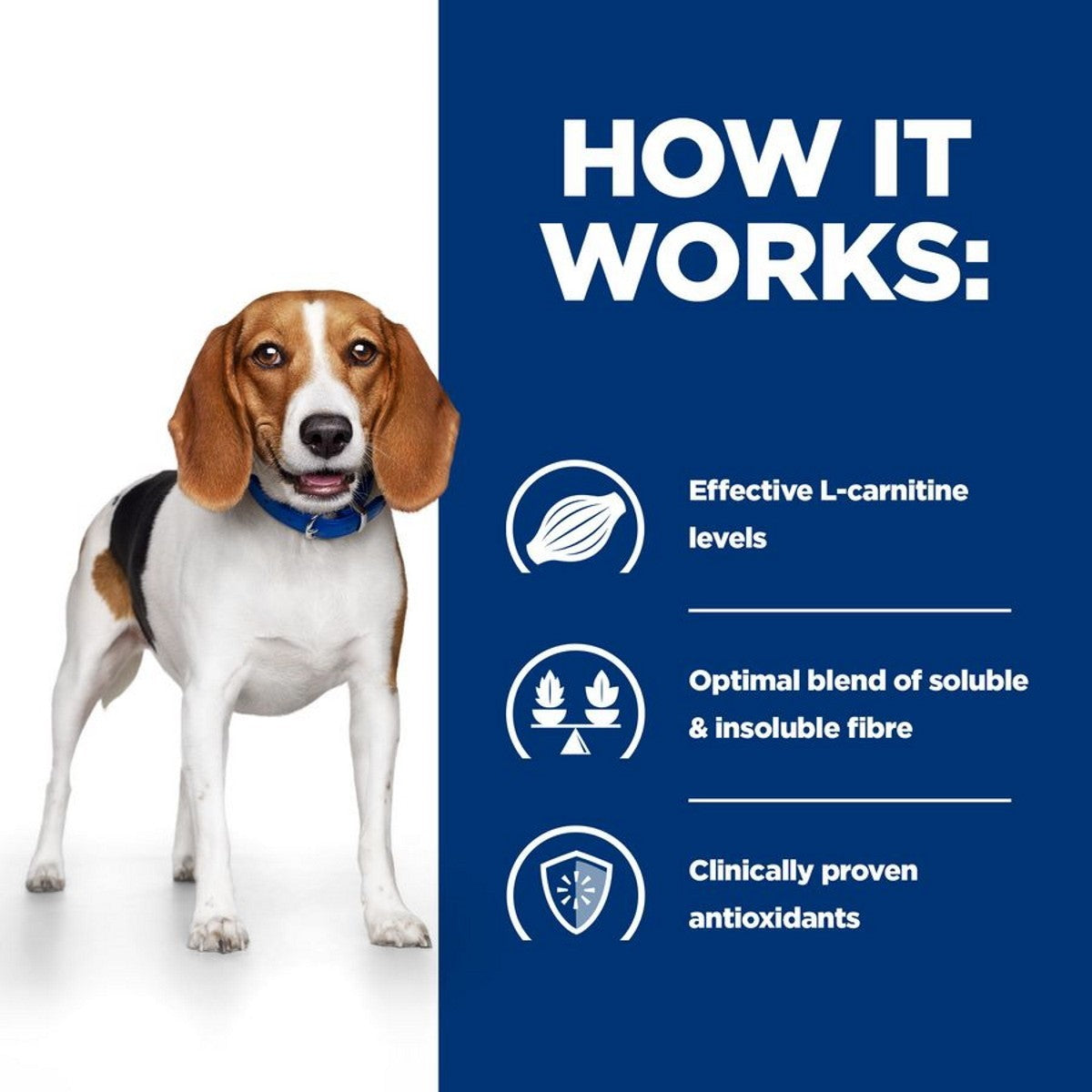 Prescription food for dogs