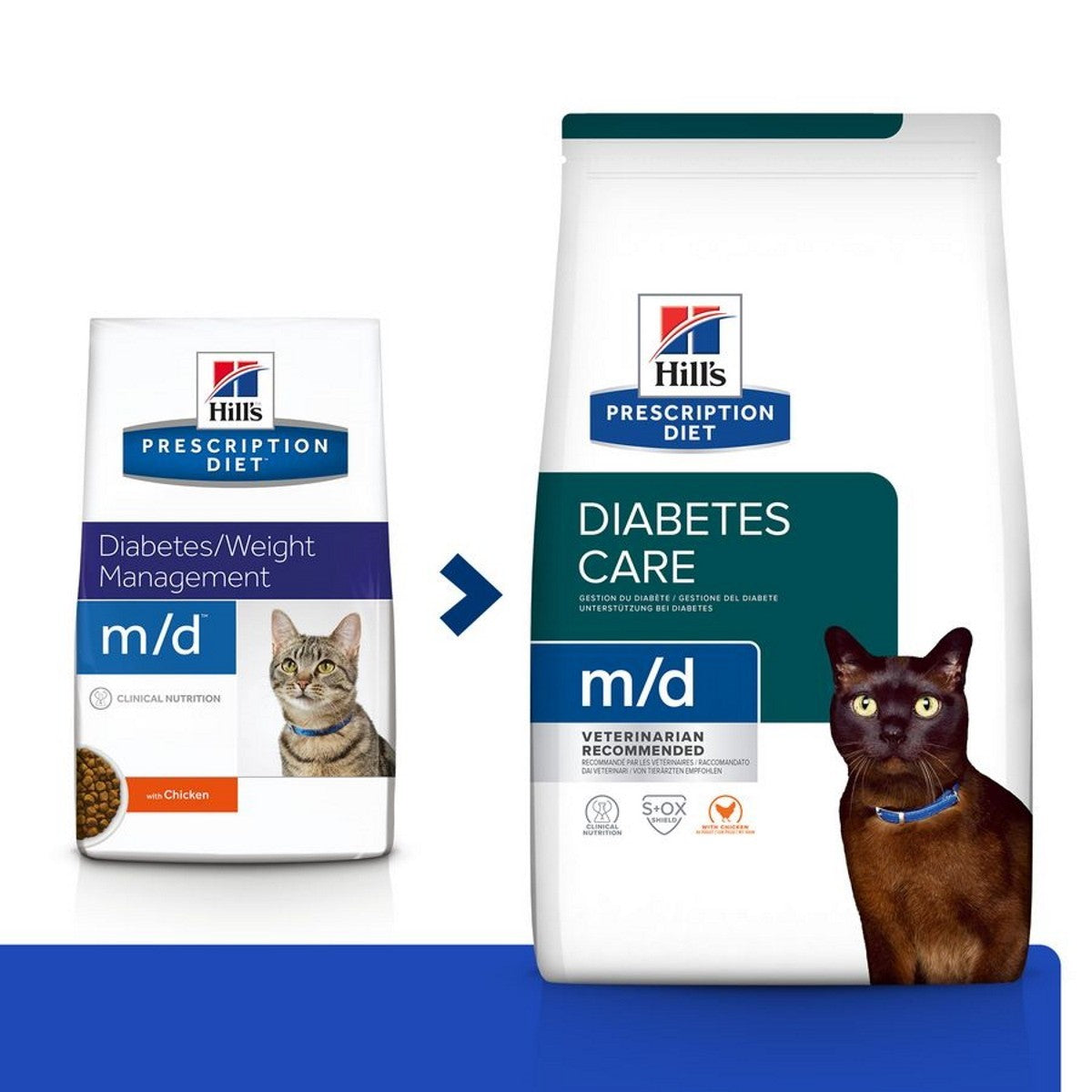 Dry food diabetes