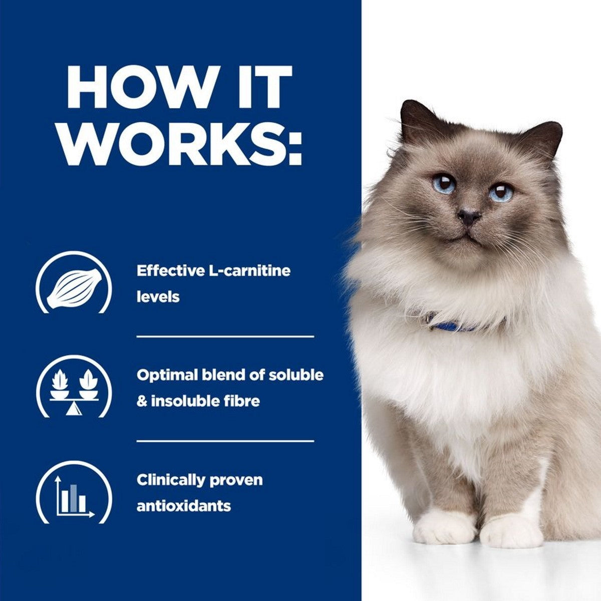 Weight control cat kibble